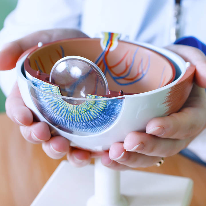 Retinal and Ophthalmology Besse Medical